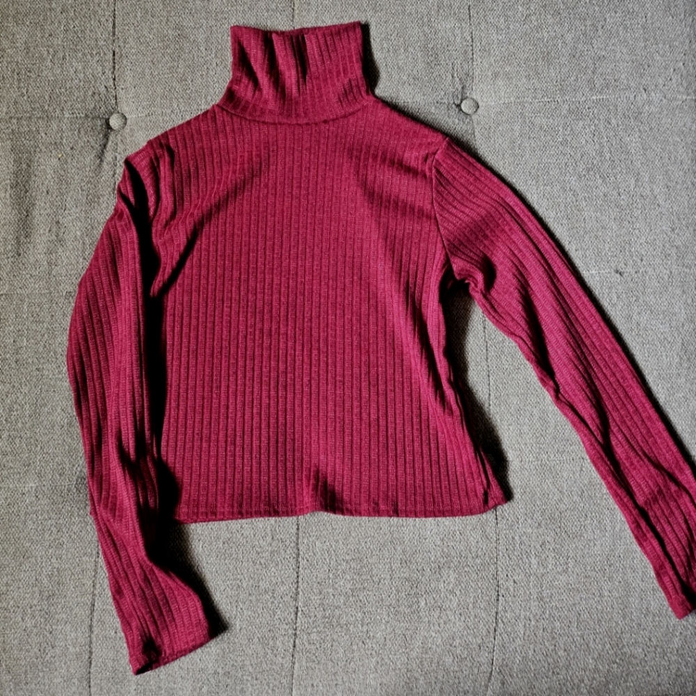cropped maroon turtleneck sweater